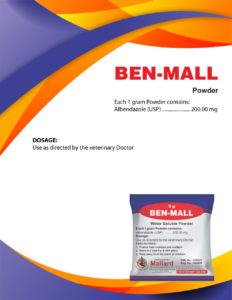 ben mall